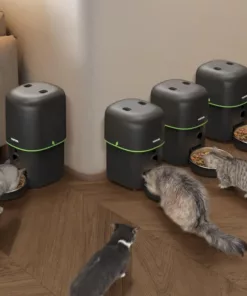 Distributeur automatique de croquettes avec caméra