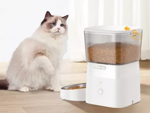 Distributeur Automatique de Croquettes 2L pour Chat